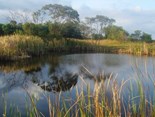 Lagoa Encantada2